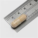 KSM‐66® Ashwagandha capsule view