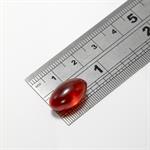 Sea Buckthorn Oil  capsule view