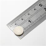 Sea Kelp Extract tablet view