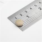 Ginkgo Biloba 6000mg tablet view